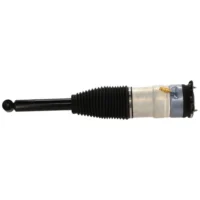 Air Strut Rear Driver Left Side Hand for Tesla S 2012-2021