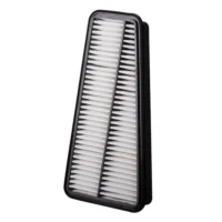 Premium Guard Filters PA5578 Air for 4 Runner Toyota Tacoma Tundra FJ Cruiser